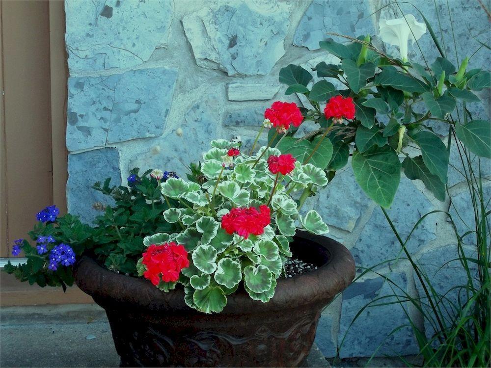 Au Gîte de la Chute Saint-Jean-de-Boischâtel Extérieur photo